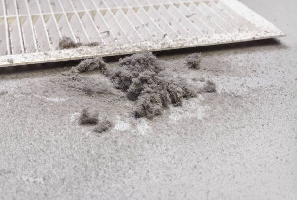 Best Duct Cleaning Specialists  in Scotts Hill, TN