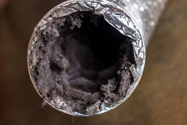 Best HVAC Air Duct Cleaning  in Scotts Hill, TN